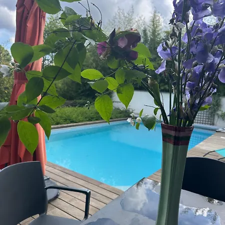 Duplex Terrasse & Piscine Privee - Vue -nature -proche Lyon Saint-Didier-au-Mont-d'Or
